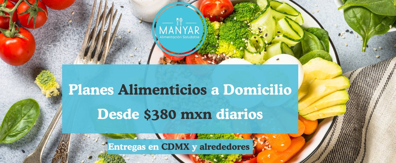 Manyar – Comida Saludable a Domicilio
